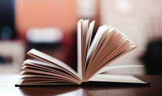 成龙甄子丹 成龙甄子丹